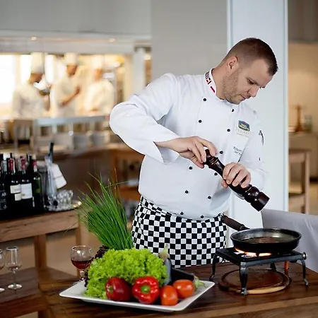 Metropol Katowice 酒店 Siemianowice Śląskie